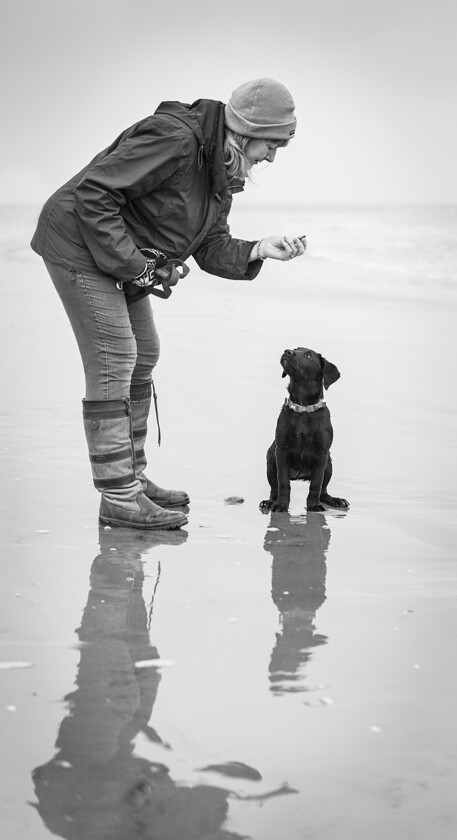 Black Pearl On Beach